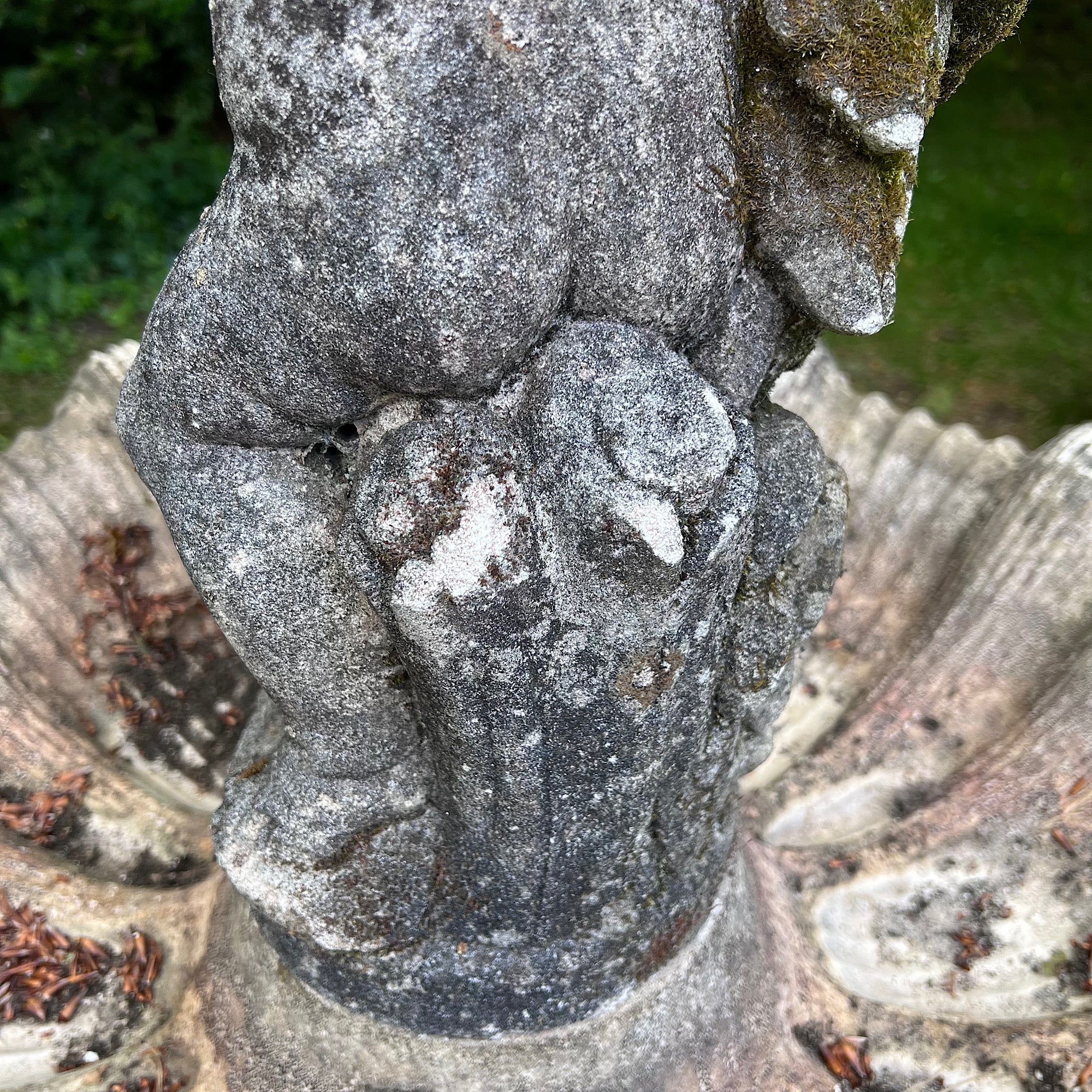 Single-Tier Italianate Clam Shell Fountain with Putto & Carp - Image 10