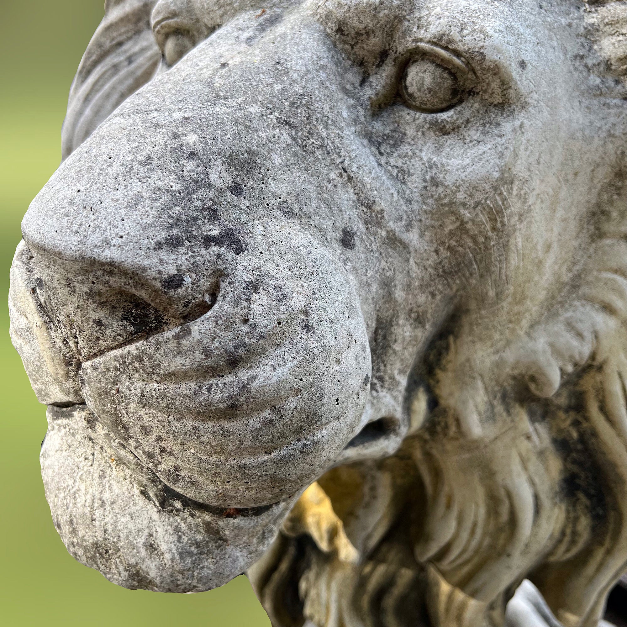 Monumental Pair of Lion Garden Statues - Image 4