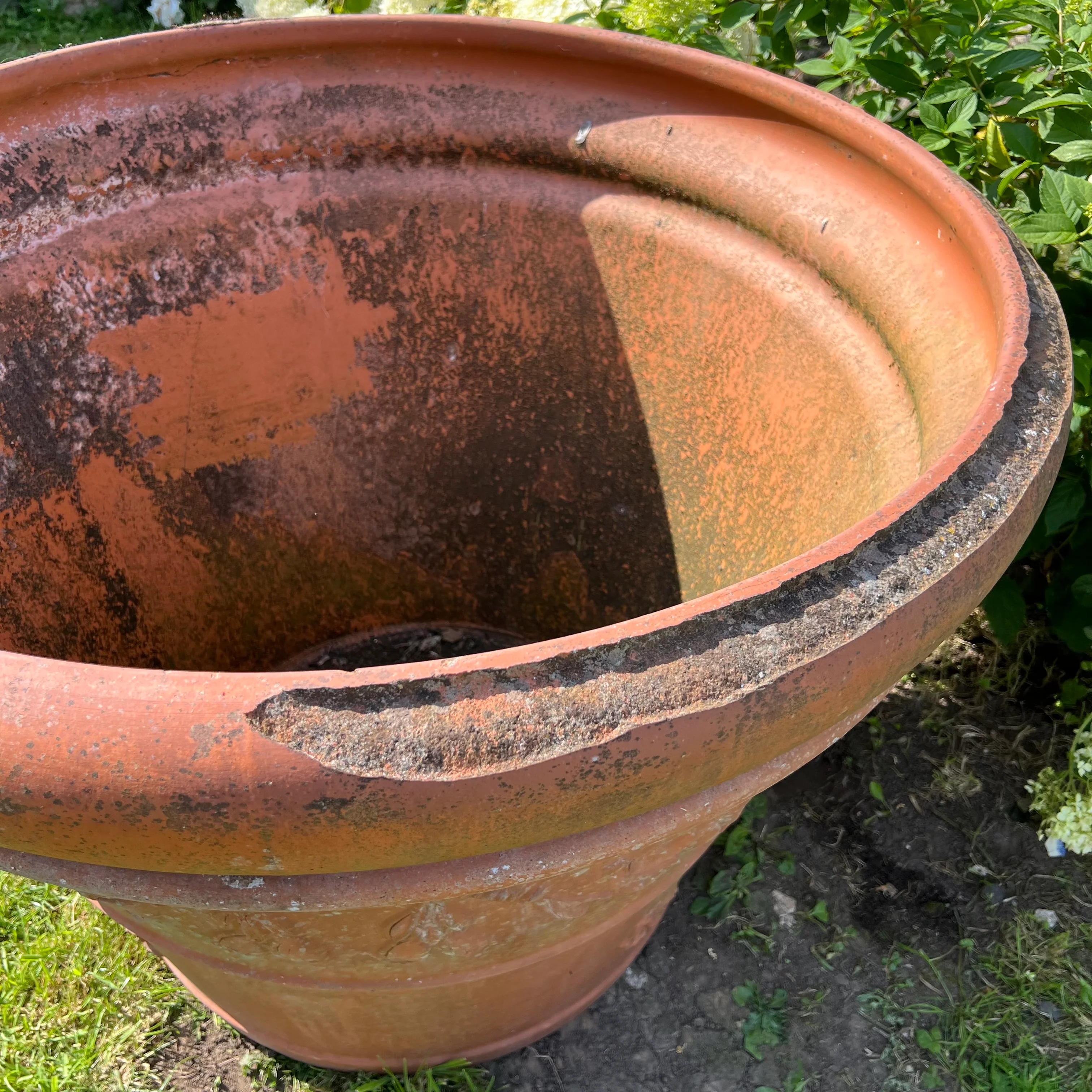 Huge Terracotta Planter - Image 13