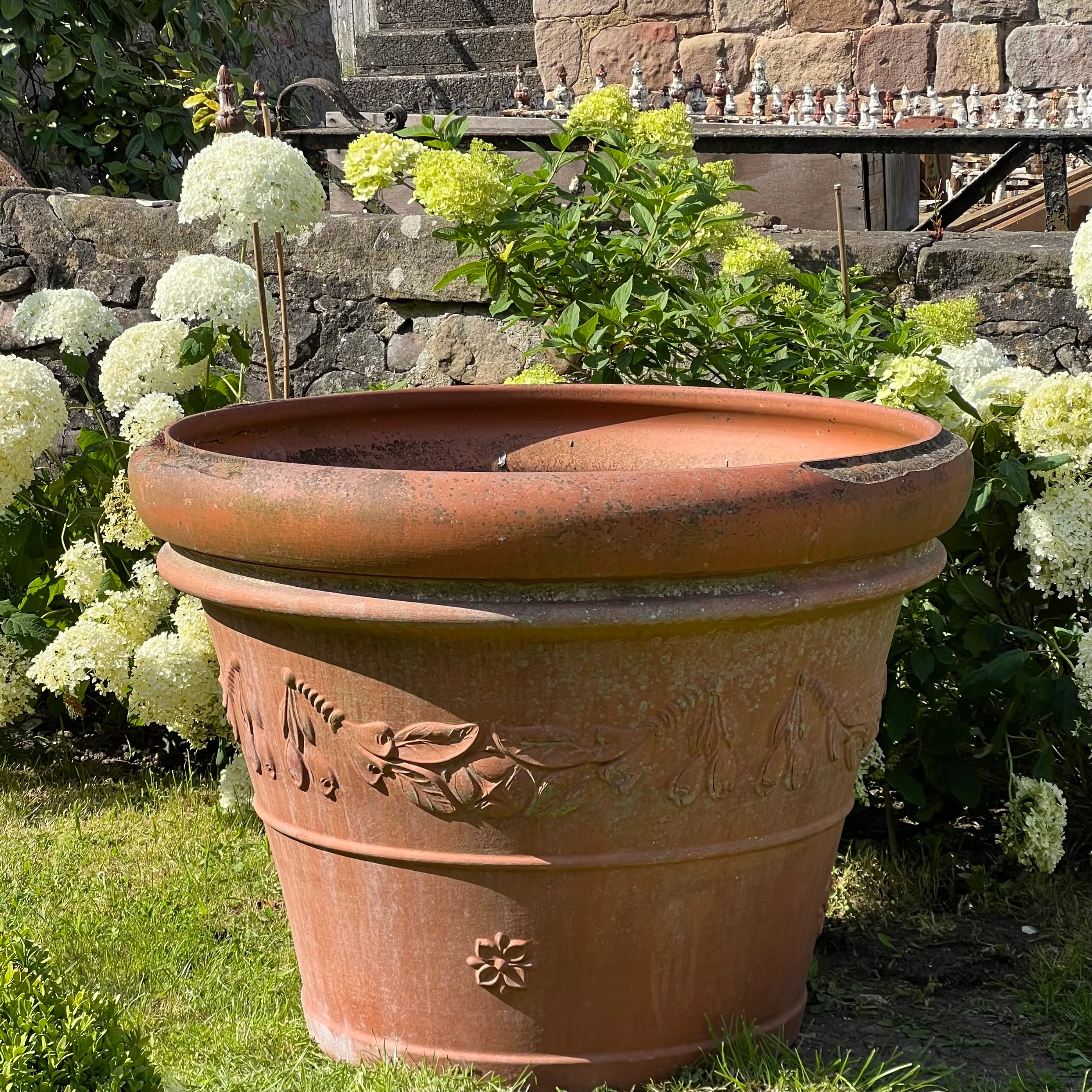 Huge Terracotta Planter - Image 5