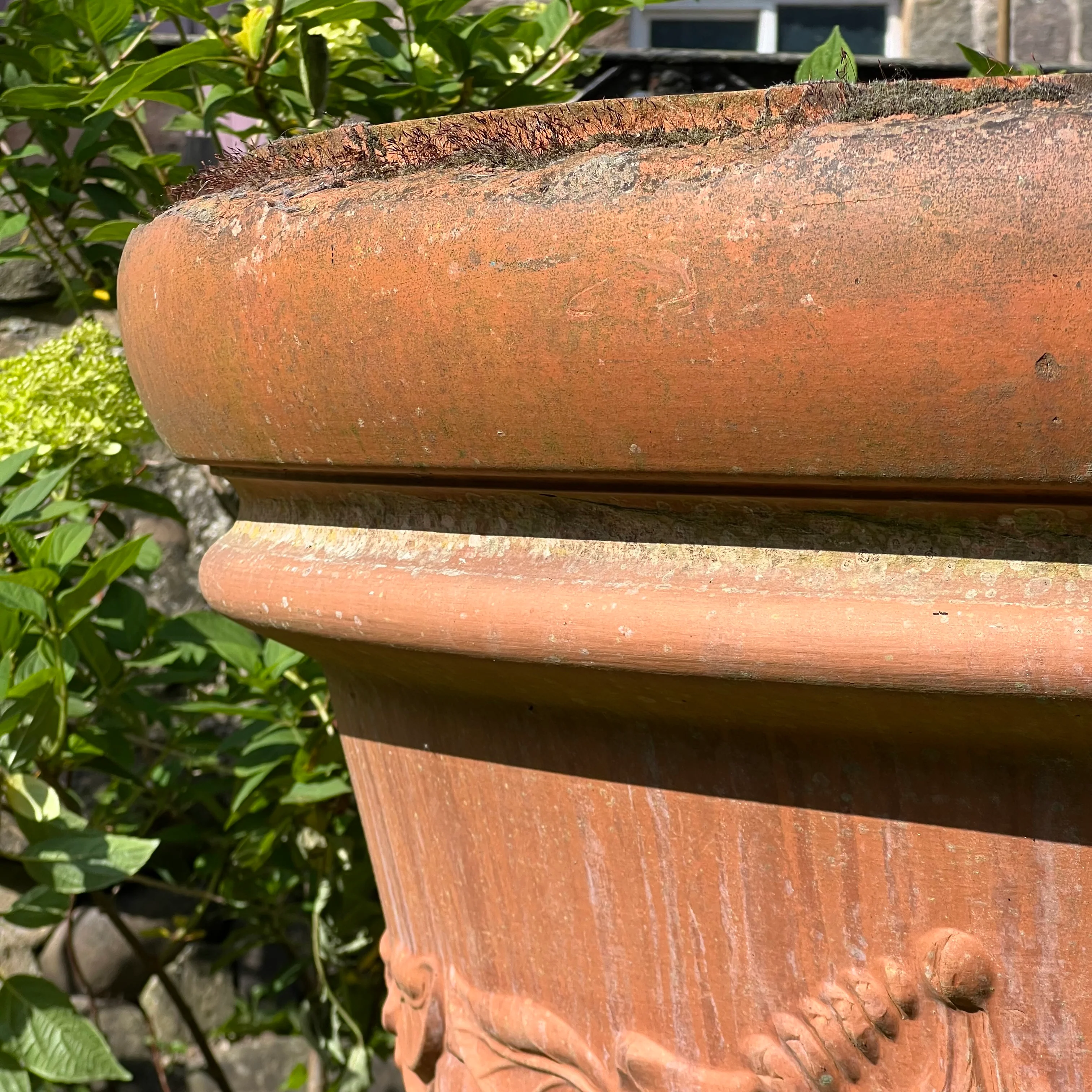 Huge Terracotta Planter - Image 9