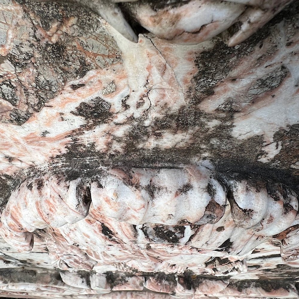 Italian Marble Wall Fountain Head Frieze Early 20th Century - Image 13