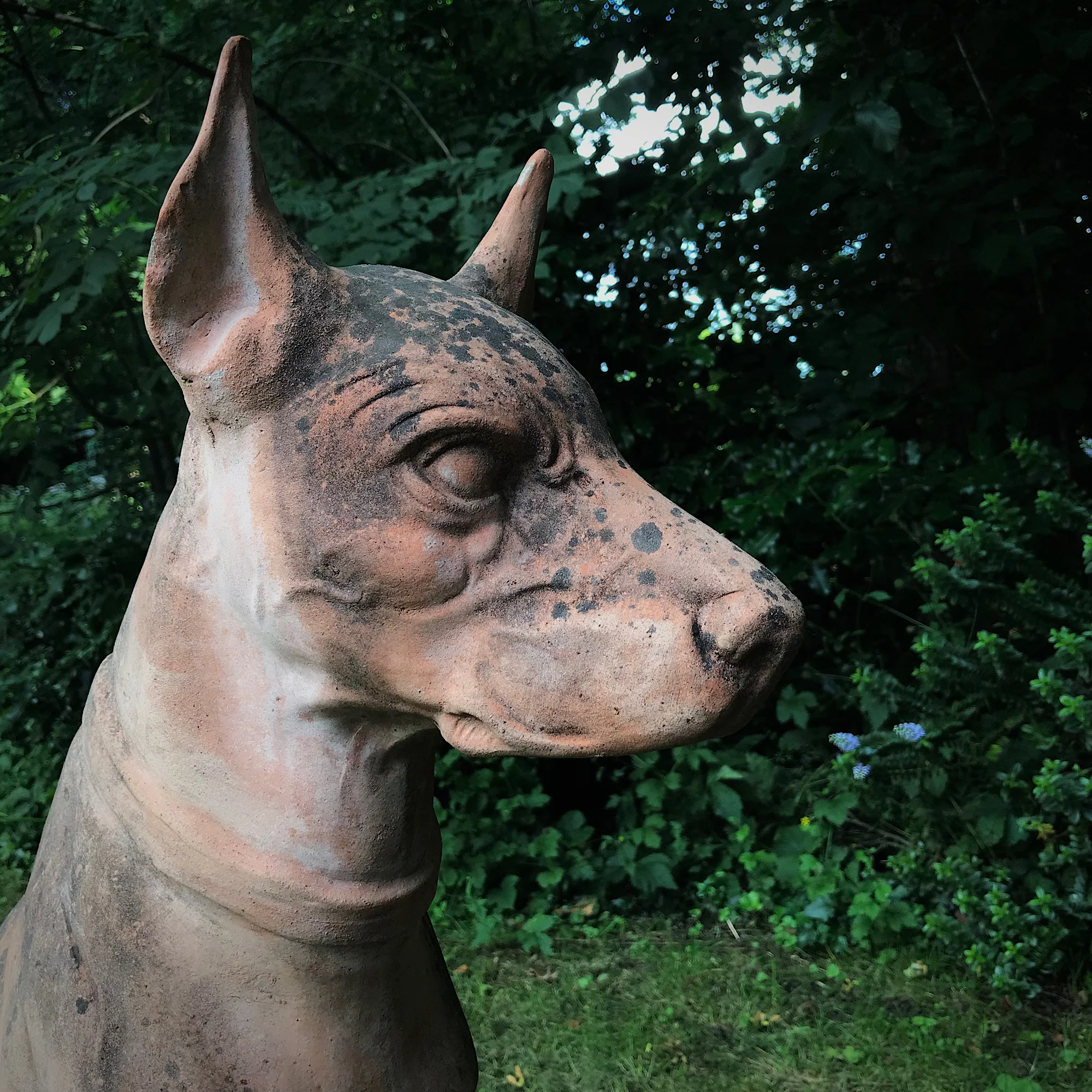 Italian Terracotta Hound - Image 15