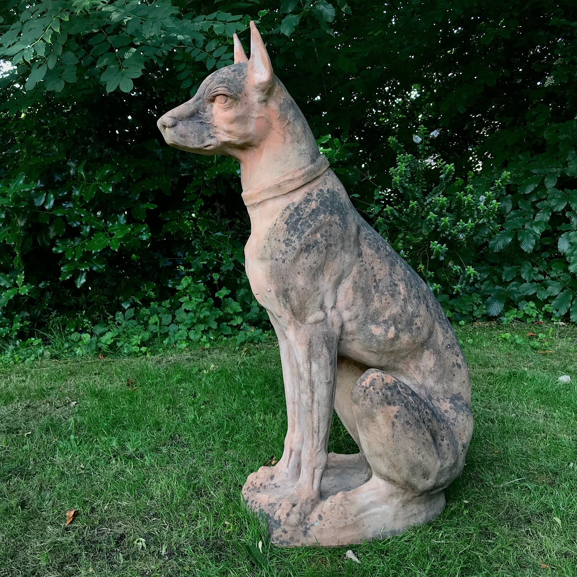 Italian Terracotta Hound - Image 2