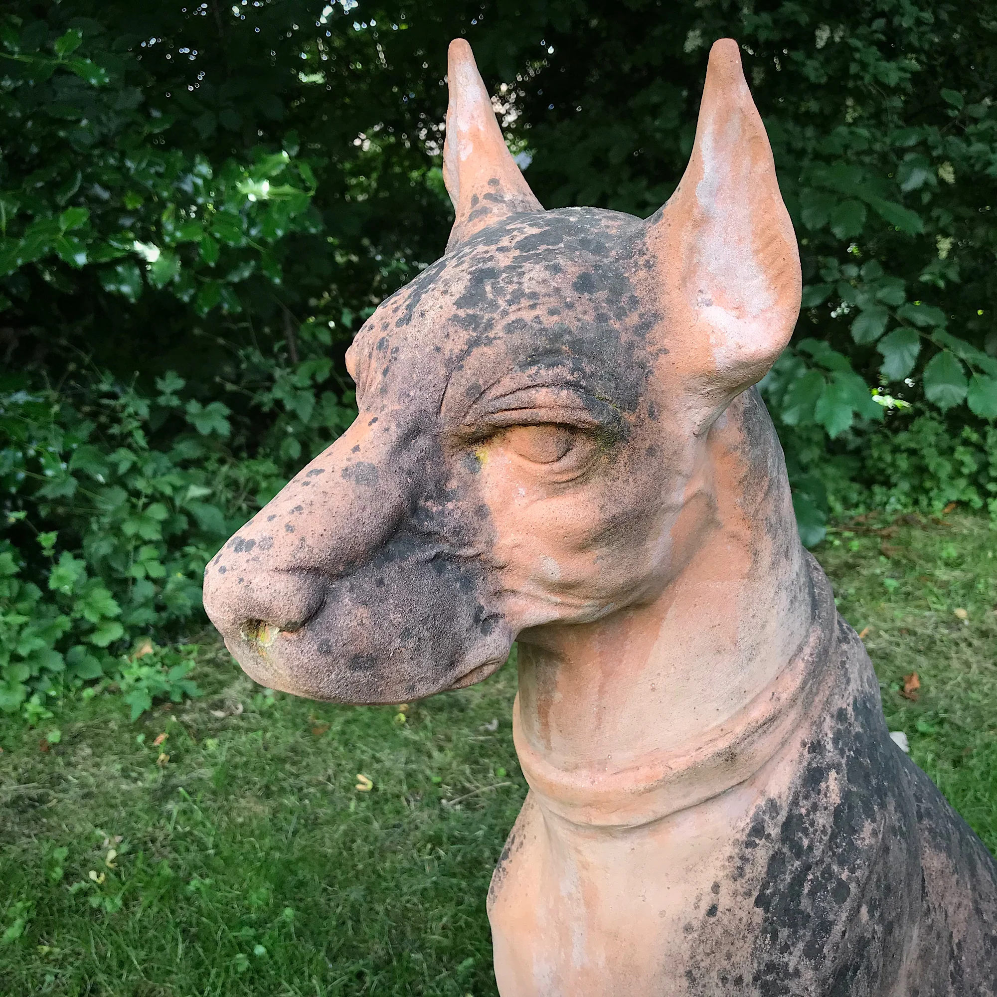 Italian Terracotta Hound - Image 7