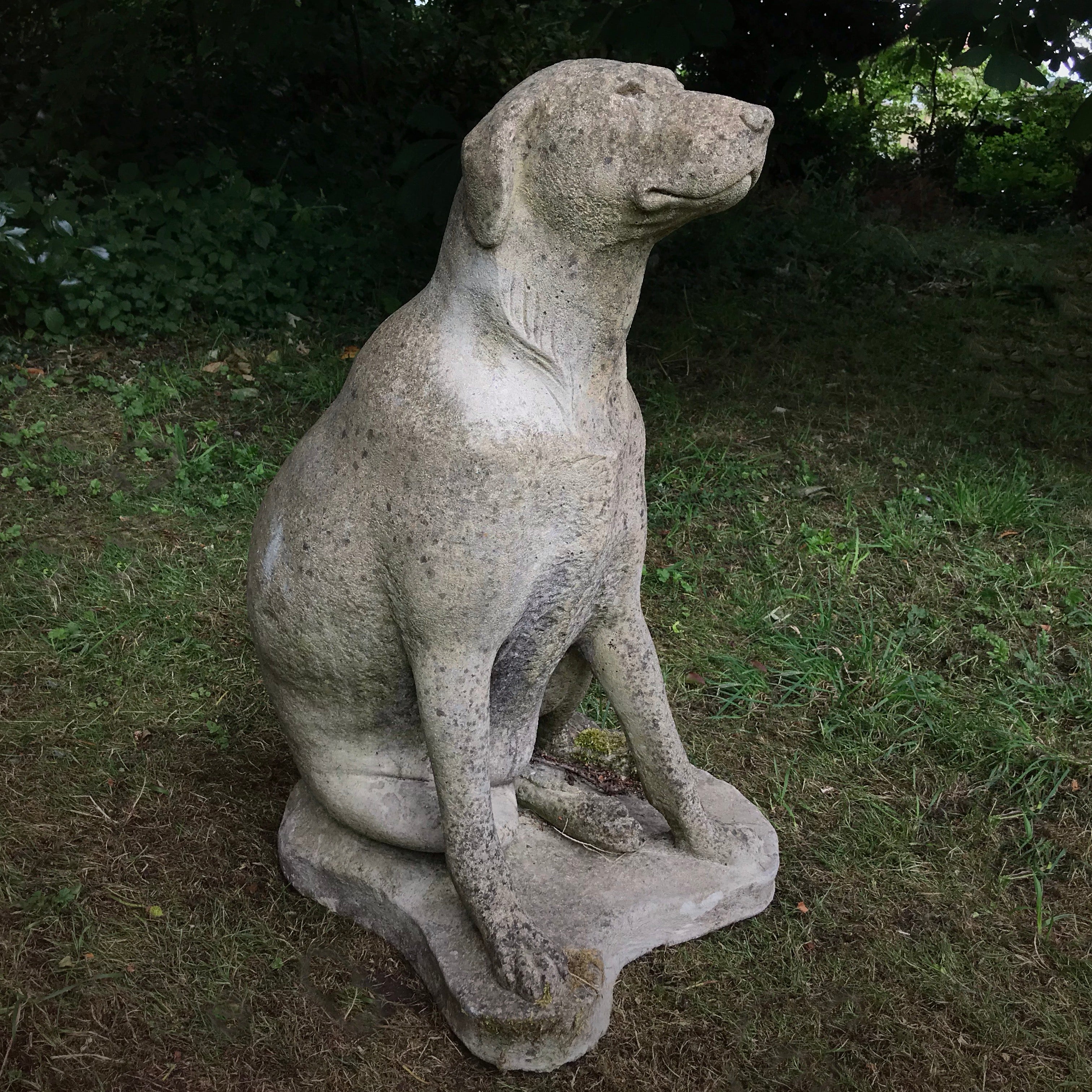 A Loyal Hound - Image 3