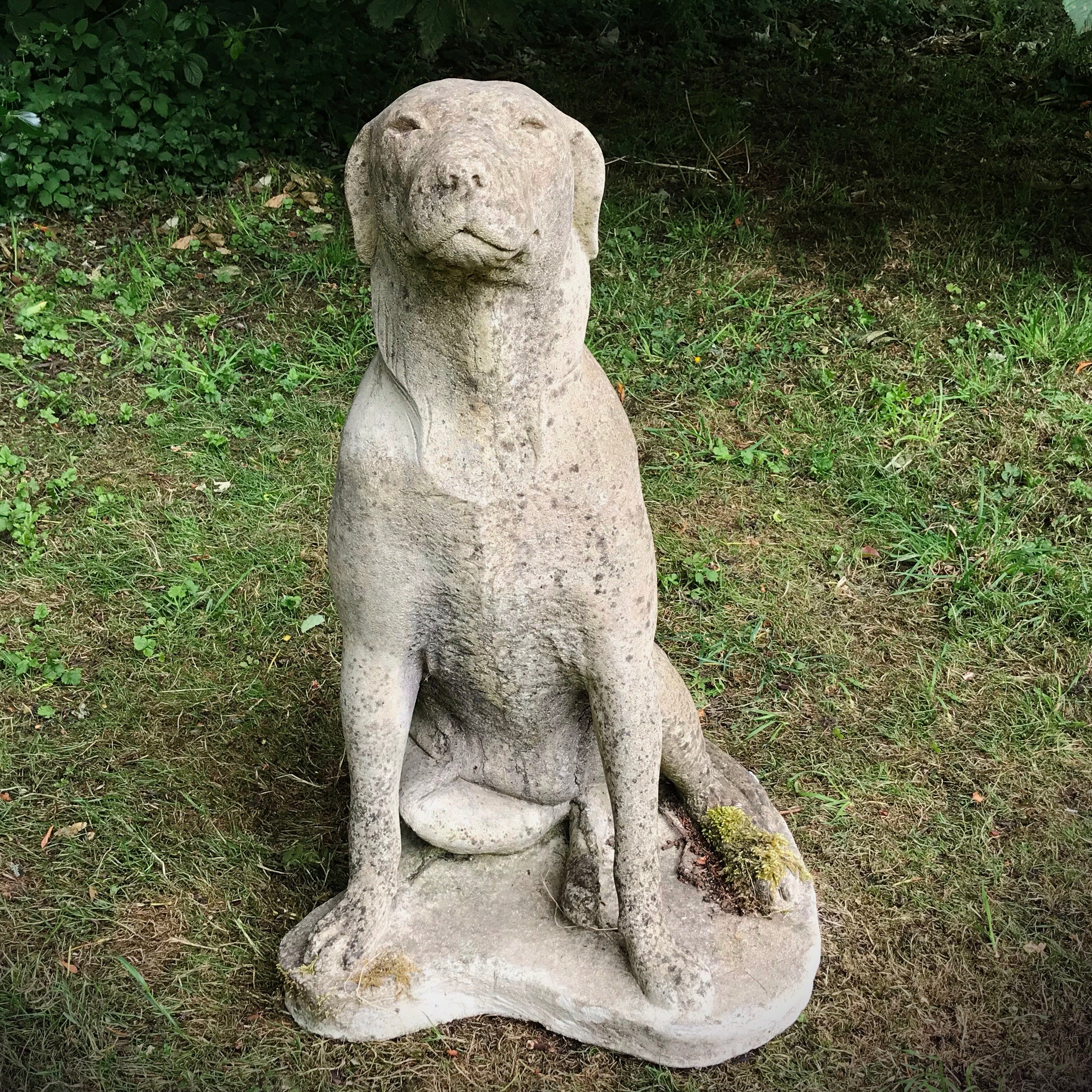 A Loyal Hound - Image 5