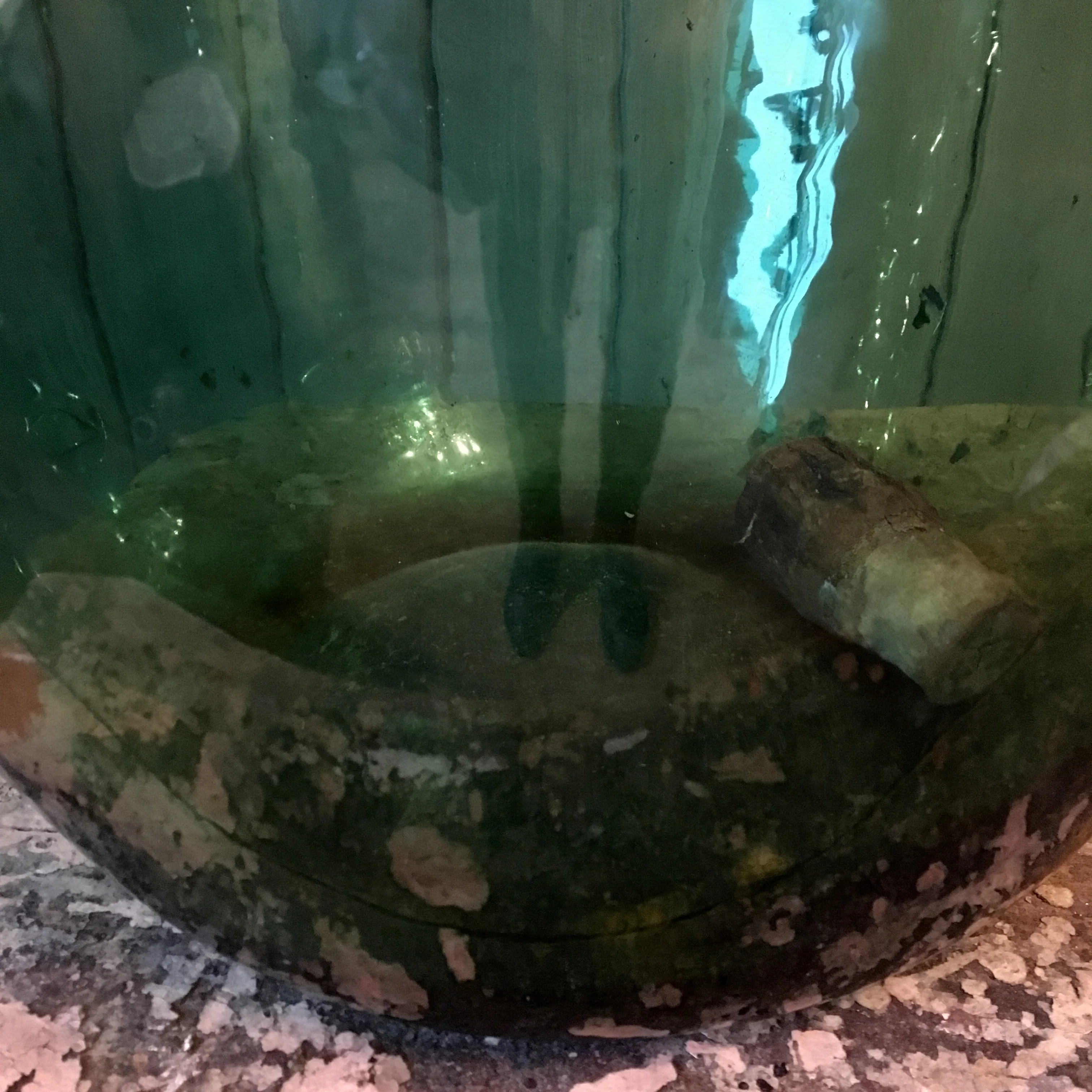 Large French 19th Century Demijohn/Carboy - Image 17