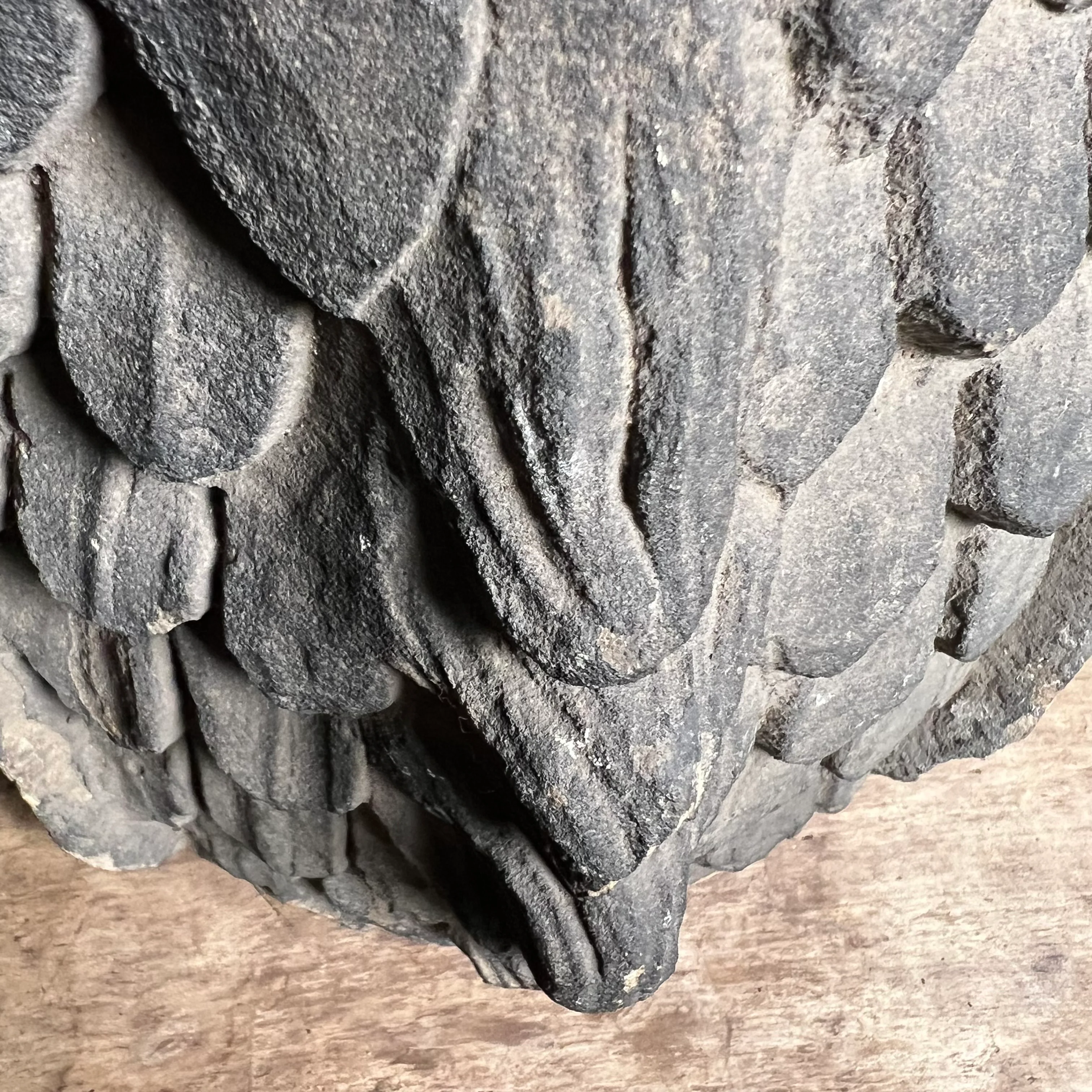 Large Pair of Gothic Revival Gargoyles - Image 8