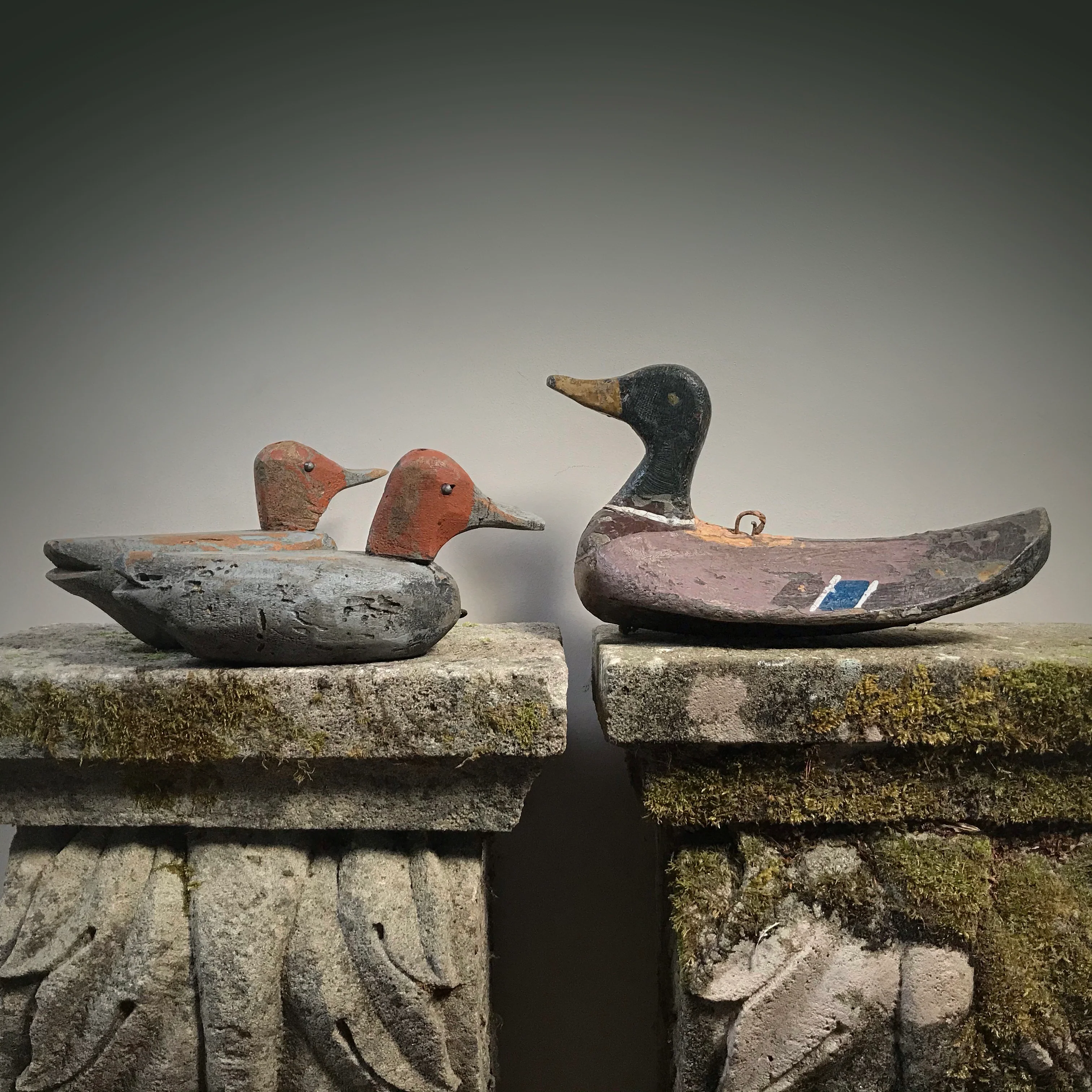 Late 19th Century Large Decoy Duck - Image 7