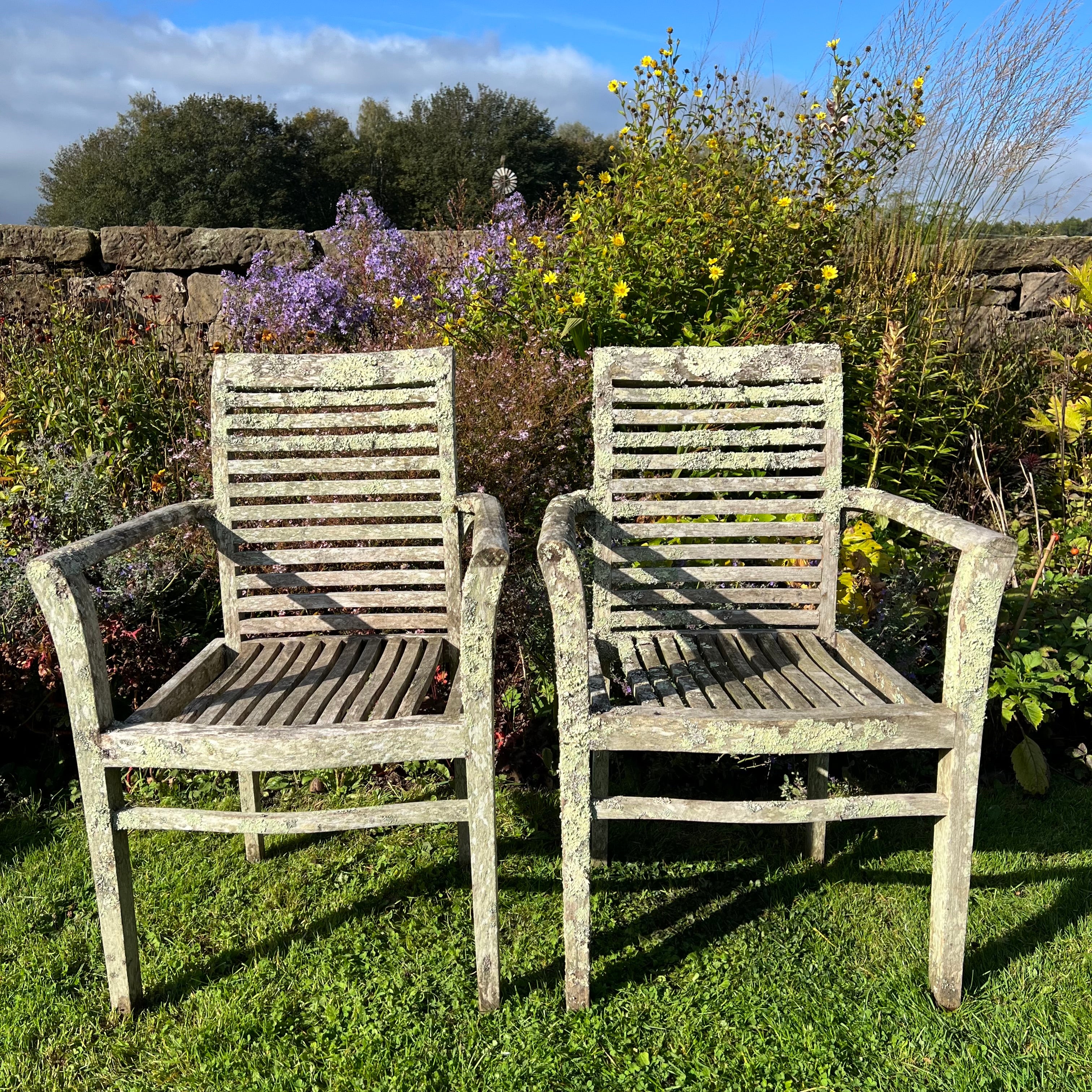 Pair of Teak Chairs with Incredible Lichens Mid-20th Century - Image 2