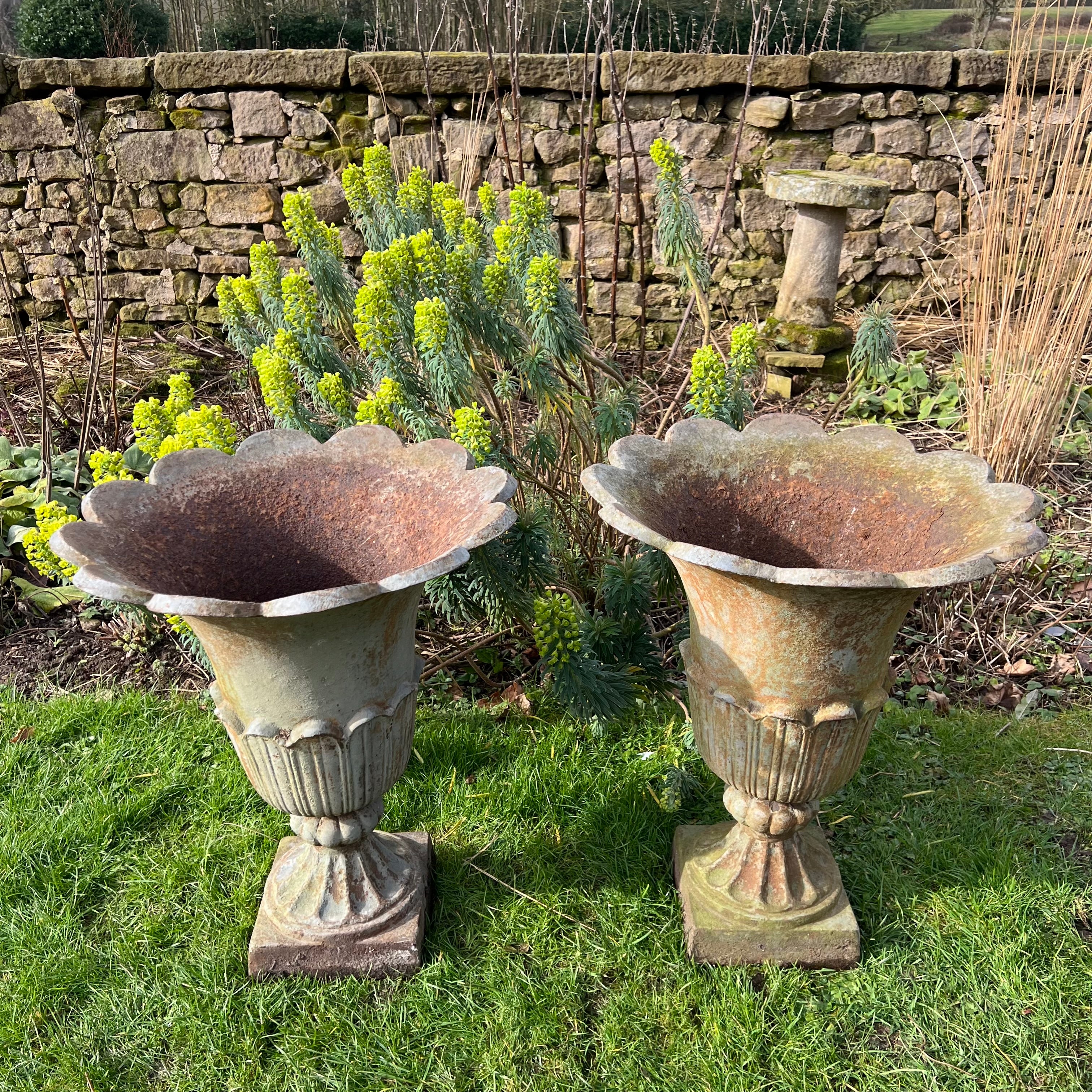 Pair of English Tulip Shaped Cast Iron Urns c.1880 - Image 11