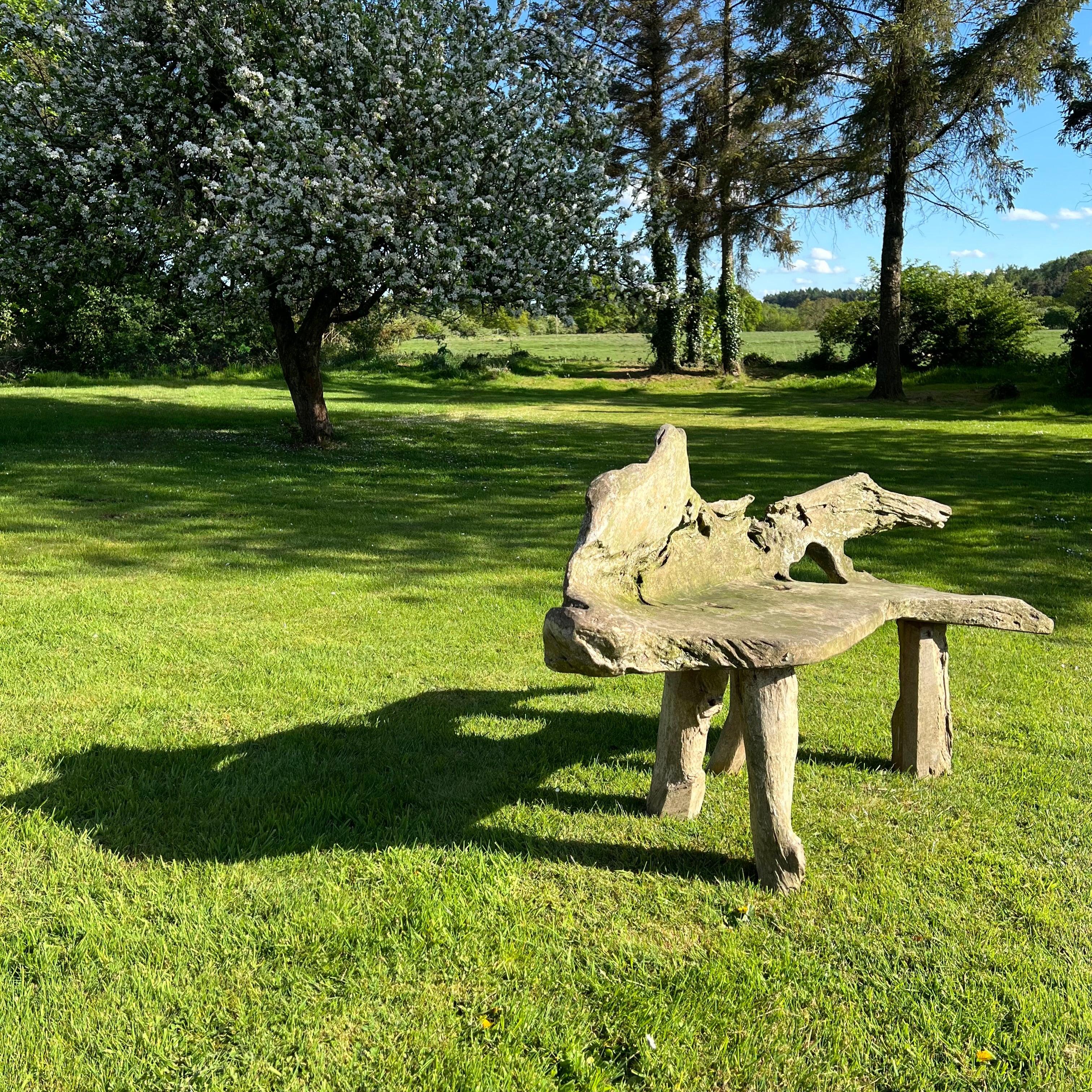 Primitive Organically Formed Root Bench - Image 10