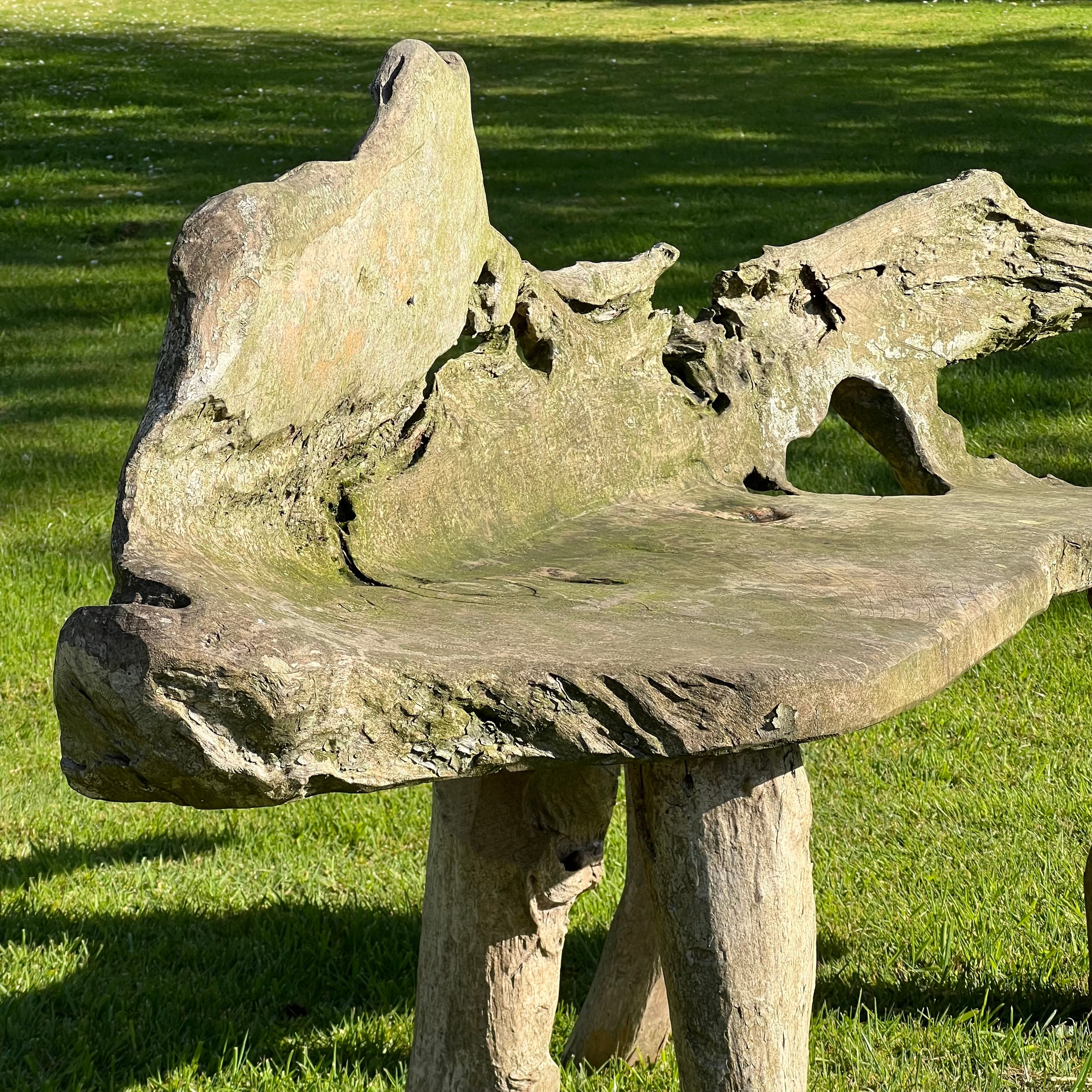 Primitive Organically Formed Root Bench - Image 3