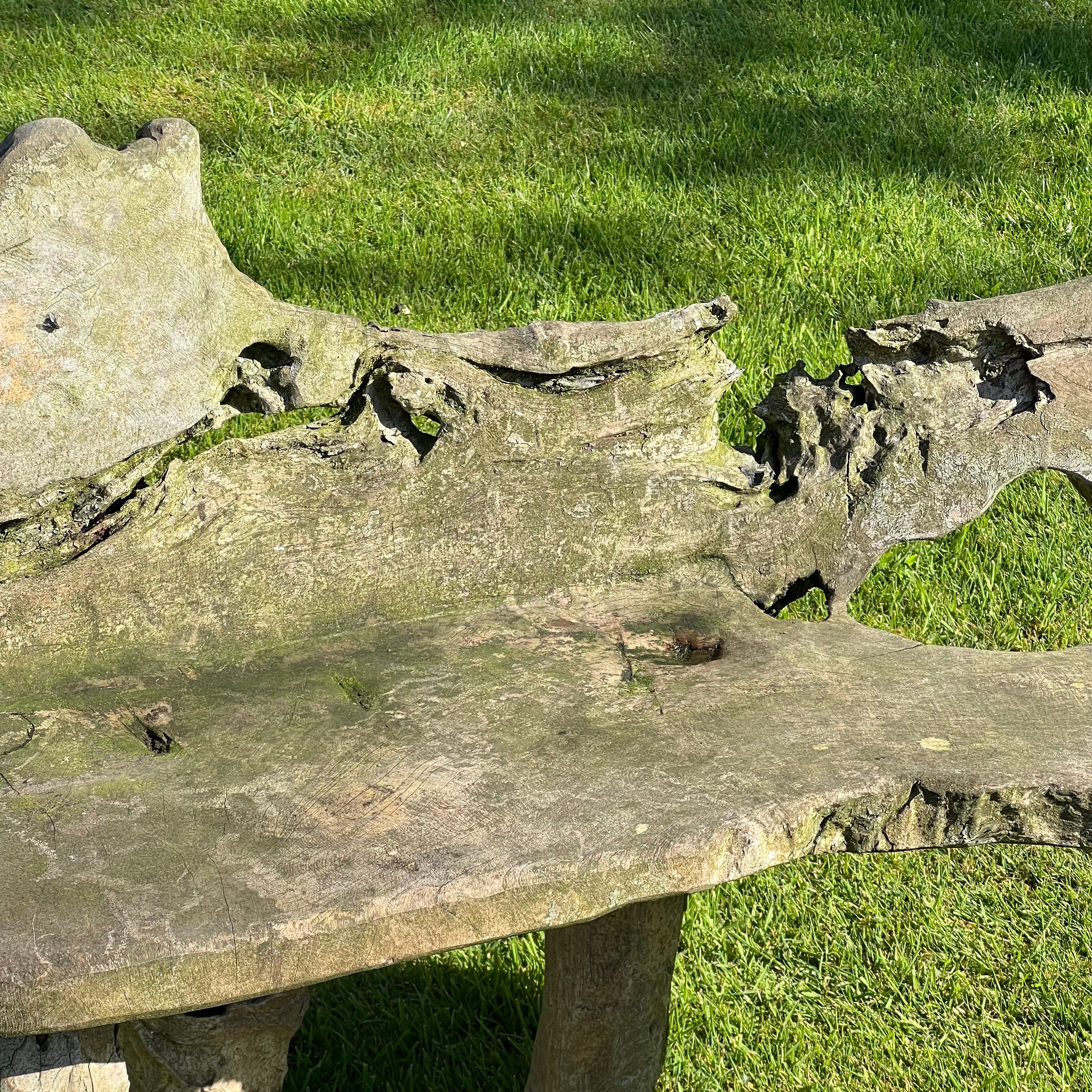 Primitive Organically Formed Root Bench - Image 6