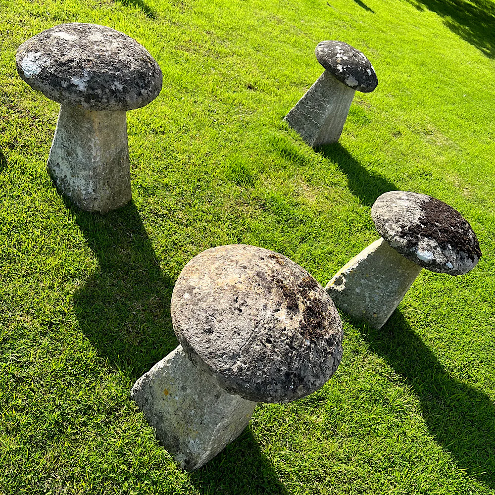 Set of Five Cotswolds Staddle Stones c.1750 - Image 14