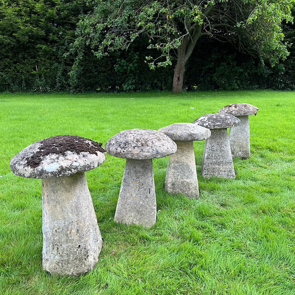 Set of Five Cotswolds Staddle Stones c.1750 - Image 3