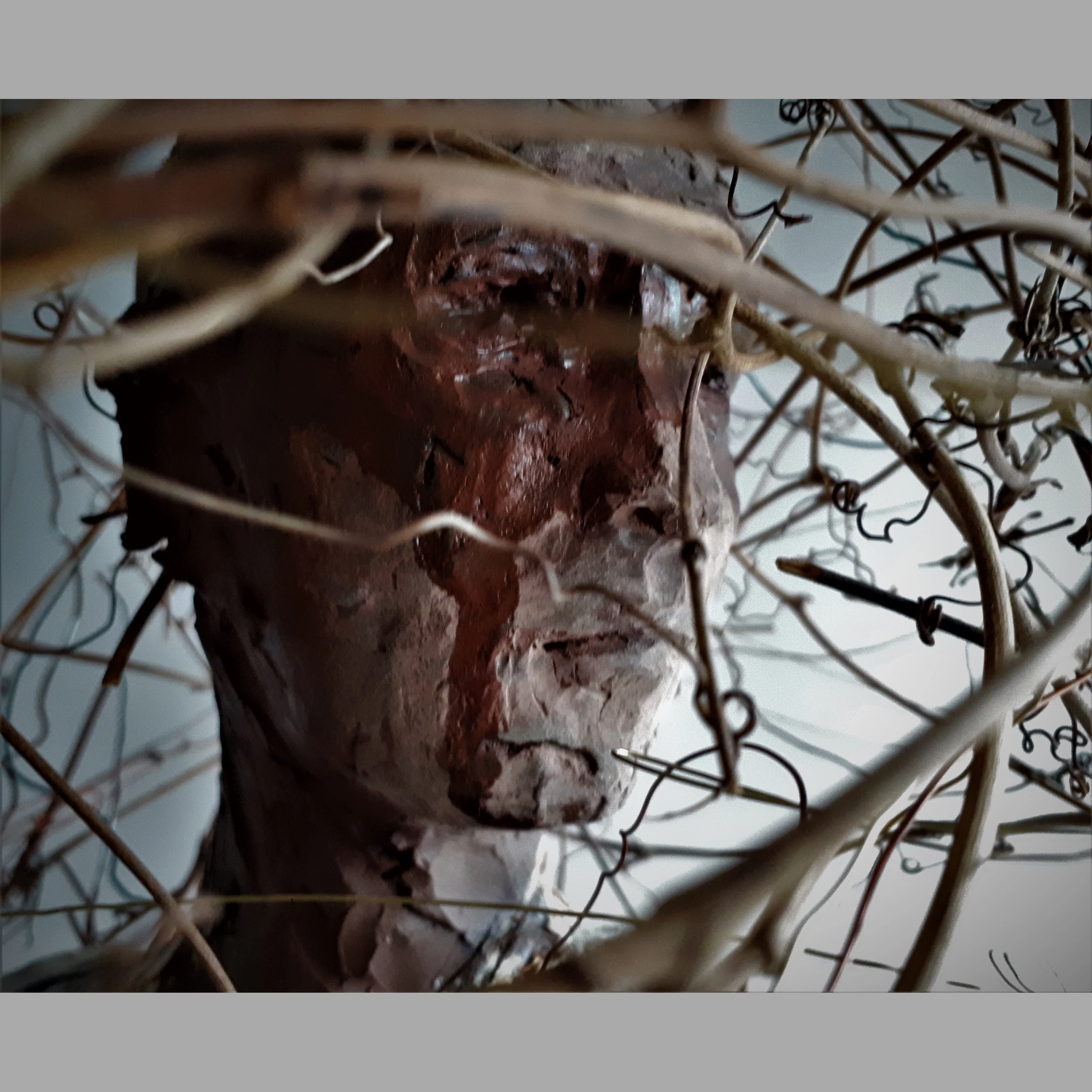 Sharon Griffin - “Mindfulness“ - Image 3