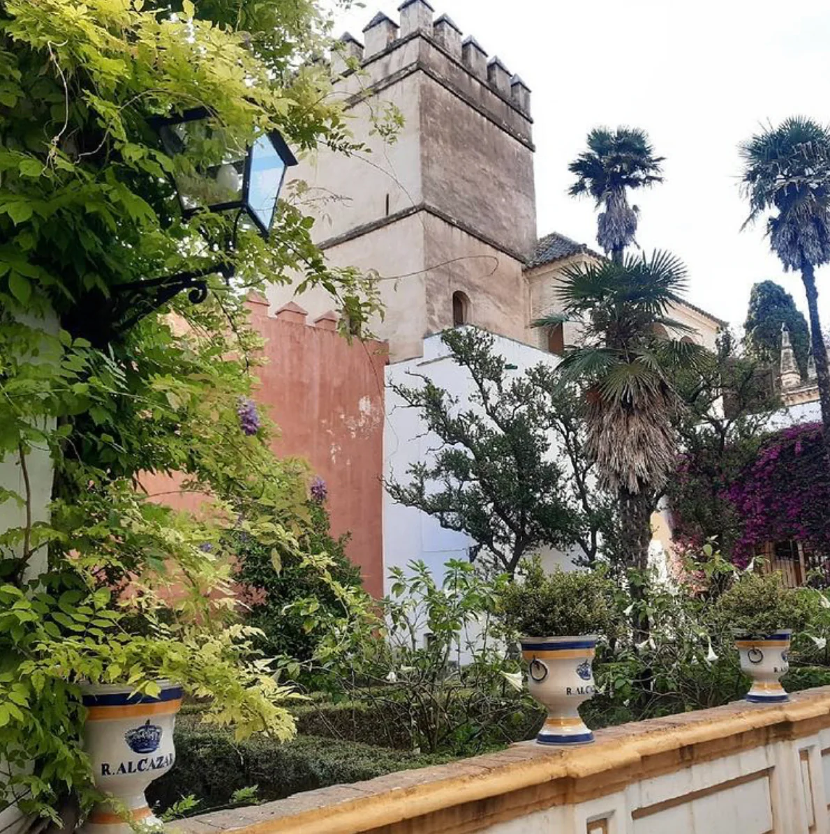 Three 19th Century Faience Spanish Campana Vases from the Real Alcázar de Sevilla (Royal Alcázar Palace of Seville) - Image 6