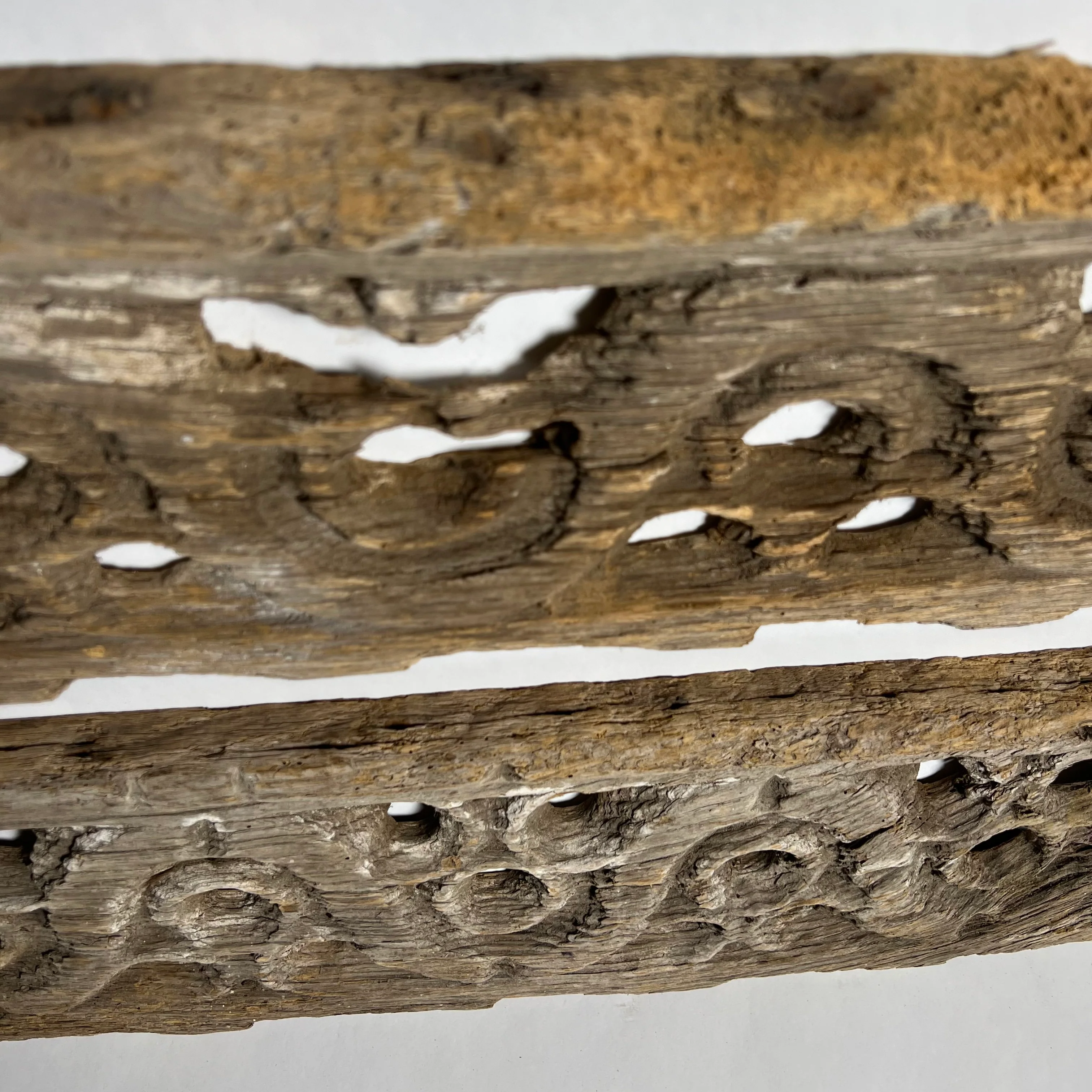 Tudor Oak Bargeboard Carvings c.16th Century - Image 16