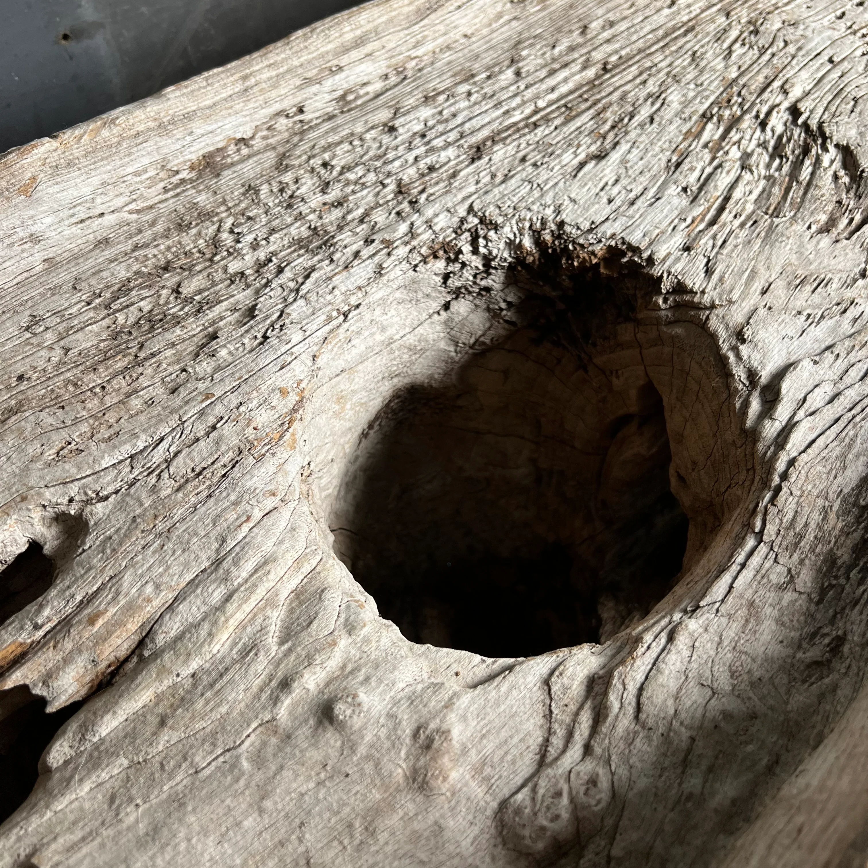 Primitively Formed Naga Grinding Table - Image 8