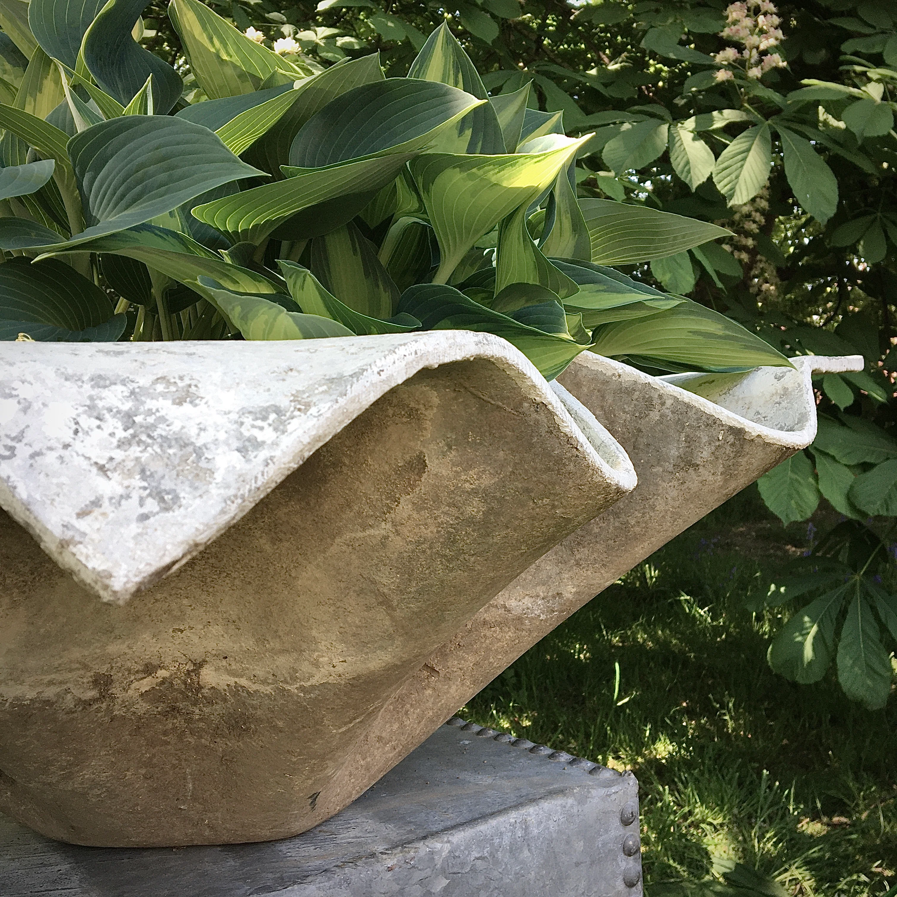 Willy Guhl Extra Large Handkerchief Planter Eternit 1960 - Image 7